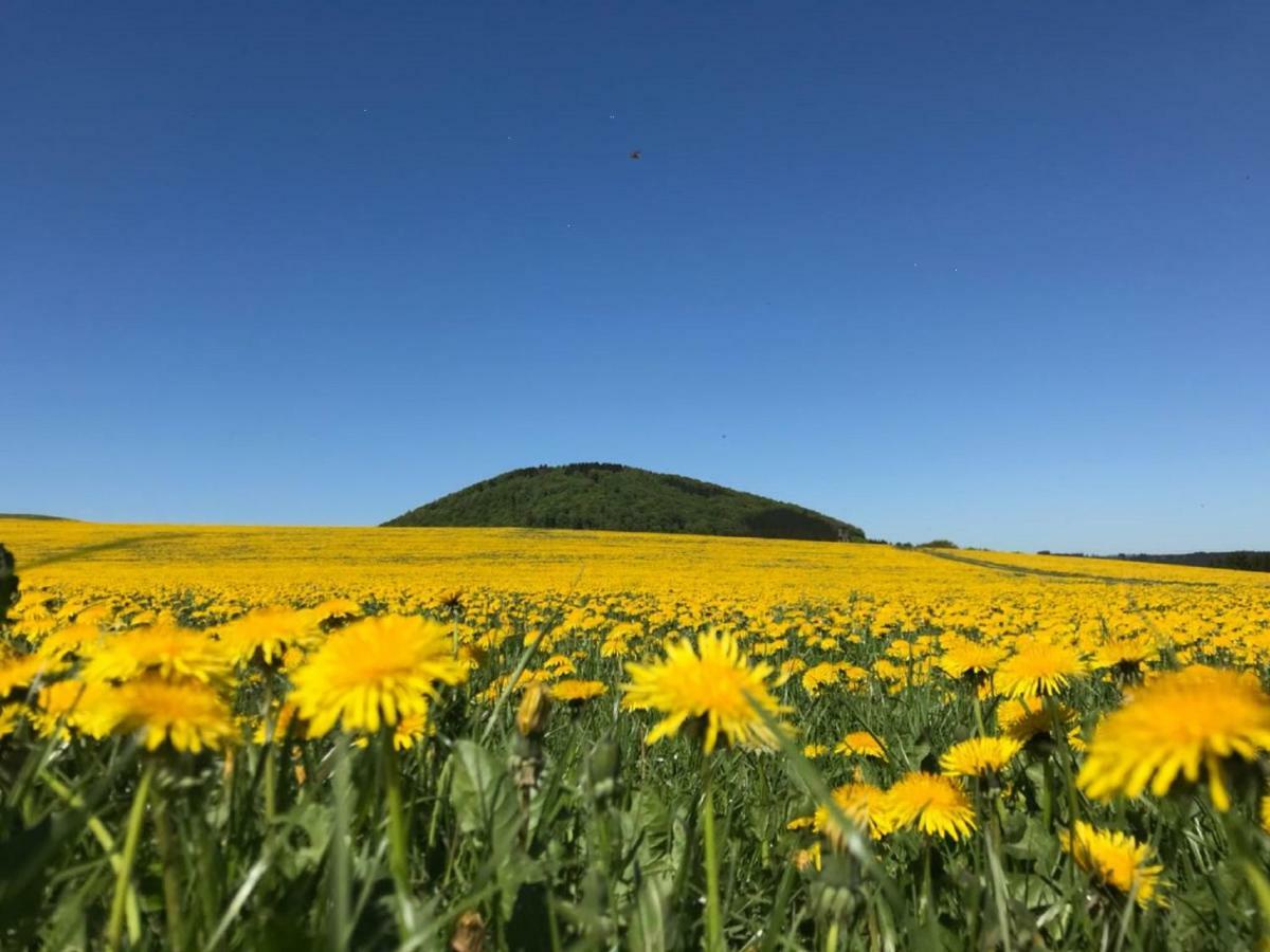 Pension Und Ferienwohnung Schuette Schmallenberg Bagian luar foto